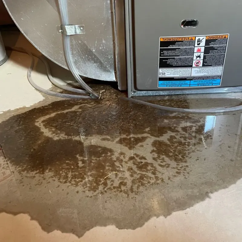 Pipe Burst and Leak Restoration in Rosewood Heights, IL